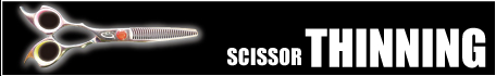 Scissor